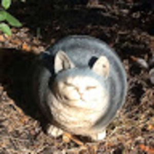 Meet your Posher, Aura